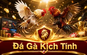 Giao diện sảnh Đá Gà boncxa trên mobile